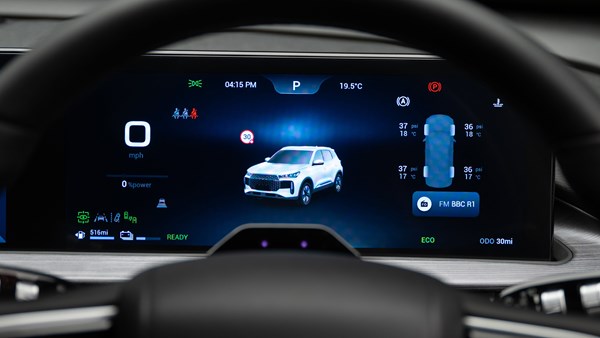 Driver display